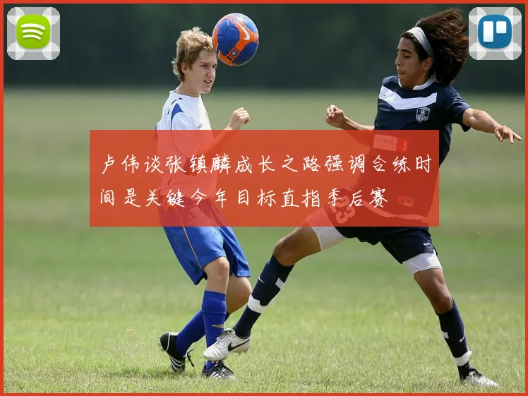 卢伟谈张镇麟成长之路强调合练时间是关键今年目标直指季后赛