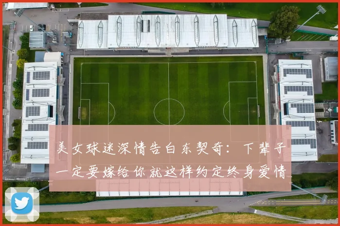 美女球迷深情告白东契奇：下辈子一定要嫁给你就这样约定终身爱情