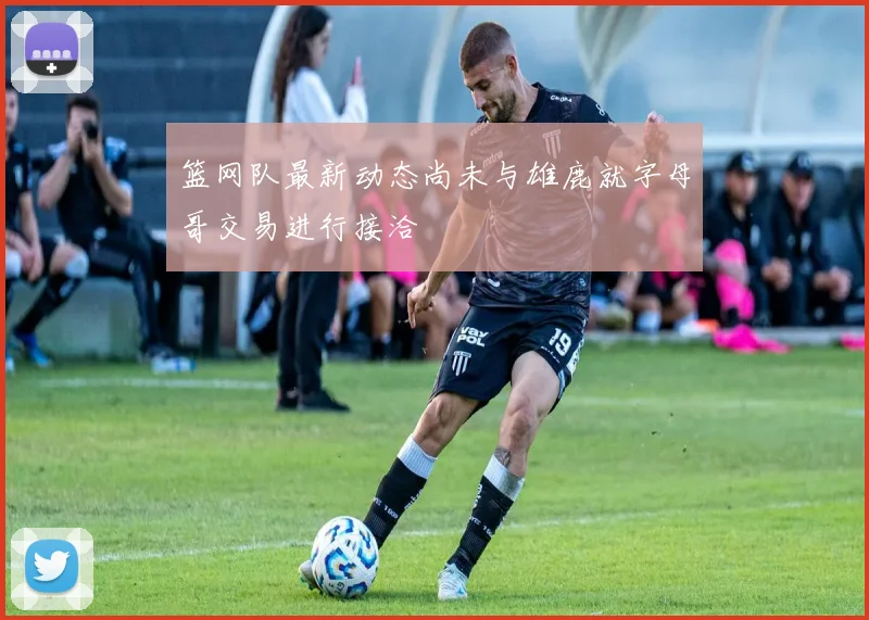 篮网队最新动态尚未与雄鹿就字母哥交易进行接洽